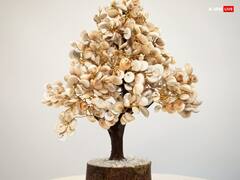 New Year 2024 Upay: नए साल में जमकर बरसेगी मां लक्ष्मी की कृपा, बस पहले दिन कर लें ये 5 काम