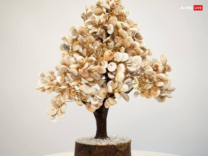 नए साल के पहले दिन सुबह स्नान के बाद घर के मुख्य द्वार पर कुमकुम से मां लक्ष्मी के घर में प्रवेश करते हुए चरण चिन्ह् बनाएं और उस दिन गोमती चक्र की स्थापना करें. कहते हैं इससे सालभर घर में बरकत बनी रहती है.