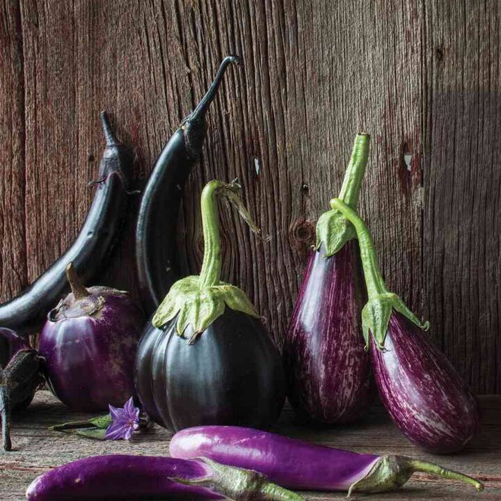 ਭਾਰਤ ਦੀ ਲਗਭਗ ਹਰ ਰਸੋਈ ‘ਚ ਬੈਂਗਣ ਨੂੰ ਸਬਜ਼ੀ ਦੇ ਤੌਰ ‘ਤੇ ਪਕਾਇਆ ਜਾਂਦਾ ਹੈ ਪਰ ਆਦਿ-ਵਾਸੀ ਇਸ ਨੂੰ ਅਨੇਕ ਹਰਬਲ ਨੁਸਖ਼ਿਆਂ ਦੇ ਤੌਰ ‘ਤੇ ਅਪਣਾਉਂਦੇ ਹਨ। ਚੱਲੋ ਜਾਣਦੇ ਹਾਂ ਬੈਂਗਣ ਨਾਲ ਜੁੜੇ ਕੁੱਝ ਹਰਬਲ ਨੁਸਖ਼ਿਆਂ ਦੇ ਬਾਰੇ.