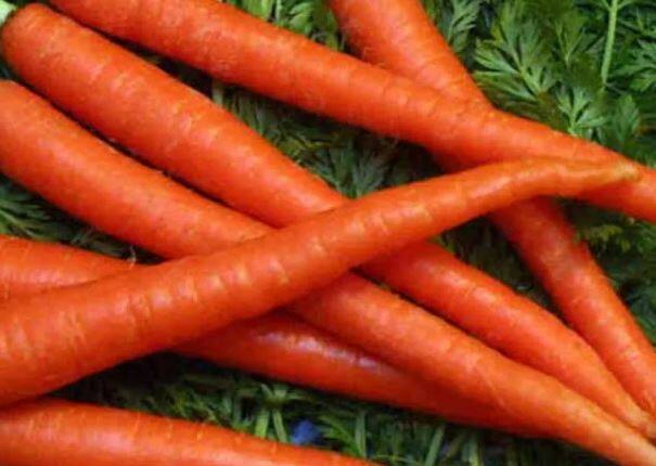 गाजर 50 रुपये प्रतिकिलोवर गेले आहे.