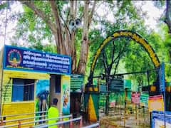 சதுரகிரியில் மீண்டும் காட்டுத்தீ: பக்தர்களுக்கு அனுமதி ரத்து - மாவட்ட ஆட்சியர் அறிவிப்பு!