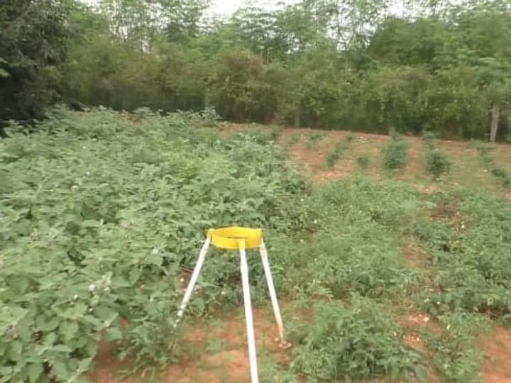 மரம் மூலம் செயற்கை மழை பொழிய வைத்து விழிப்புணர்வை ஏற்படுத்தும் இயற்கை விவசாயி