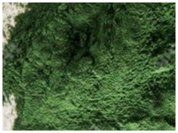 स्पिरुलिना को 'प्रोटीन की खान' भी कहा जाता है. यह सूक्ष्म शैवाल हरी पत्तेदार सब्जी है जिसमें प्रोटीन, आयरन, विटामिन और मिनरल्स से भरपूर होती है.