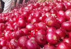 Photo : लासलगाव बाजार समितीत कांद्याचे लिलाव बंद, शेतकऱ्यांचे आमरण उपोषण सुरु