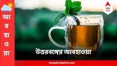 কাঁপছে উত্তরবঙ্গ, ৫ এ নামল দার্জিলিংয়ের তাপমাত্রা, অন্য জেলায় ঠান্ডা কেমন