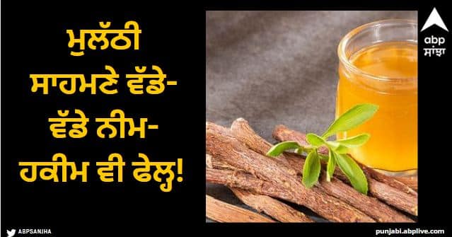 Lifestyle news Mulethi Benefits in Winter health care Mulethi Benefits: ਮੁਲੱਠੀ ਸਾਹਮਣੇ ਵੱਡੇ-ਵੱਡੇ ਨੀਮ-ਹਕੀਮ ਵੀ ਫੇਲ੍ਹ! ਸਰਦੀਆਂ 'ਚ ਸਿਹਤ ਲਈ ਰਾਮਬਾਨ, ਫਾਇਦੇ ਕਰ ਦੇਣਗੇ ਹੈਰਾਨ