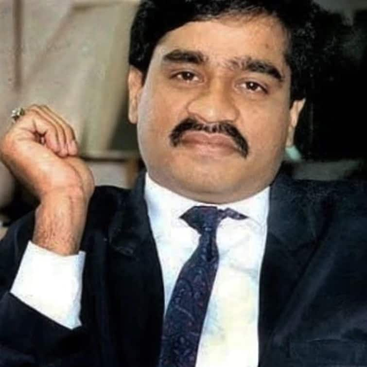 dawood ibrahim mandakini