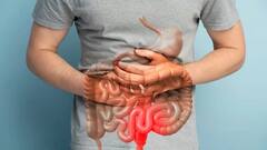 आपल्या 'या' सवयी पचनसंस्था कमजोर करण्यासाठी कारणीभूत; वेळीच बदला, अन्यथा...