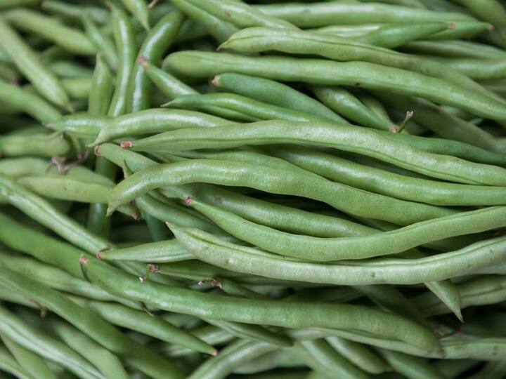 Eating Green Beans Benefits : हिरव्या बीन्समध्ये फायबर भरपूर प्रमाणात असते, ते खाल्ल्याने पचनसंस्था निरोगी राहते आणि आरोग्यालाही अनेक फायदे होतात.