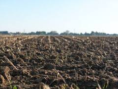 किसानों के लिए रामबाण है कार्बन फार्मिंग, जानिए कैसे ये बड़े काम की चीज है