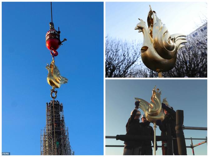 Ruling the roost! Notre Dame cathedral is adorned with brand new golden  rooster reimagined as a phoenix four years after fire devastated the iconic  Parisian landmark