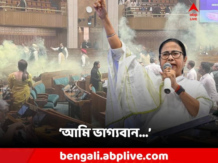Parliament Winter Session, Mamata Banerjee reacts After a number of opposition MP suspended from Lok Sabha Parliament Winter Session: 'আমি ভাগ্যবান, আমি এখন সাংসদ নই', কেন বললেন মমতা?