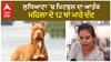 Pittbull attack In Ludhiana | เจฒเฉเจงเจฟเจเจฃเจพ 'เจ เจชเจฟเจเจฌเฉเจฒ เจฆเจพ เจเจคเฉฐเจ - เจฎเจนเจฟเจฒเจพ เจฆเฉ 12 เจฅเจพเจ เจฎเจพเจฐเฉ เจฆเฉฐเจฆ