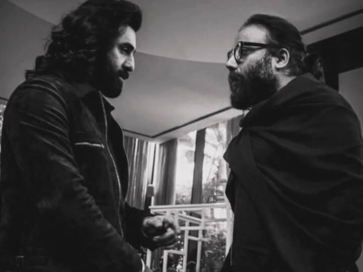 संदीप वांगा रेड्डी के डायरेक्शन में बनी फिल्म ने वर्ल्डवाइड 800 करोड़ रुपए से ज्यादा कमाई कर ली है. वहीं घरेलू बॉक्स ऑफिस पर भी 500 करोड़ के क्लब में शामिल हो गई है.