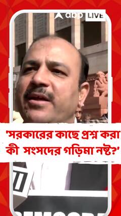 'সরকারের কাছে প্রশ্ন করা কী করে সংসদের গড়িমা নষ্ট করে?' প্রশ্ন দানিশ আলির
