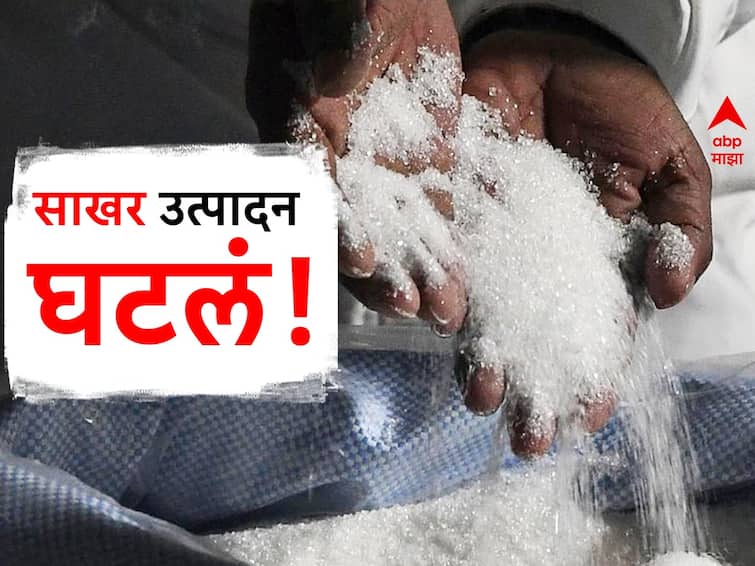 India Sugar Production news reduced 11 percent Sugar Production in current year price hike agriculture farmers marathi news मोठी बातमी! साखरेच्या उत्पादनात 11 टक्क्यांची घट, दरात वाढ होणार; उत्पादन घटण्याची कारणं काय?