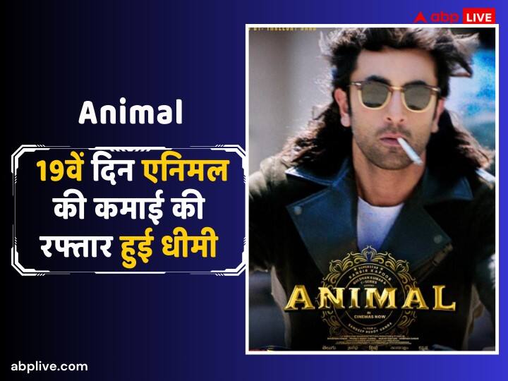 Animal Box Office Collection Day 19 Ranbir Kapoor Film earn 5 crores on Nineteenth day third Tuesday Animal Box Office Collection Day 19: 'एनिमल' की कमाई की रफ्तार हुई धीमी, 19वें दिन रणबीर कपूर की फिल्म ने किया अब तक का सबसे कम कलेक्शन