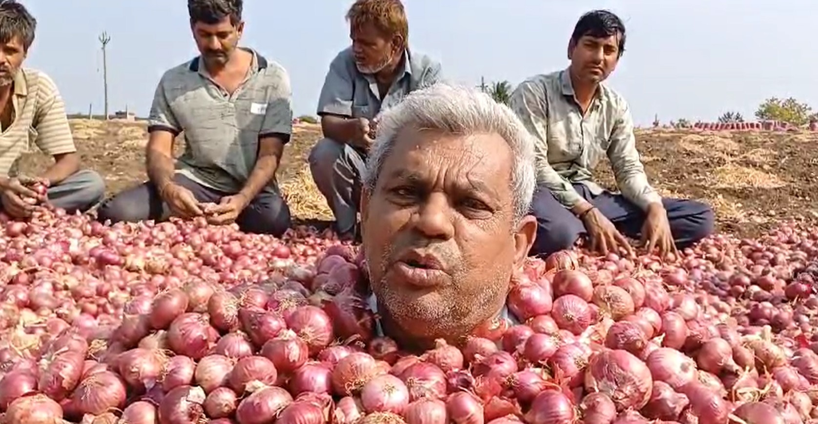Onion Protest: ધોરાજીના ખેડૂતે ખેતરમાં જ ડુંગળીના ઢગલામાં લગાવી સમાધિ, સરકાર સામે અનોખો વિરોધ