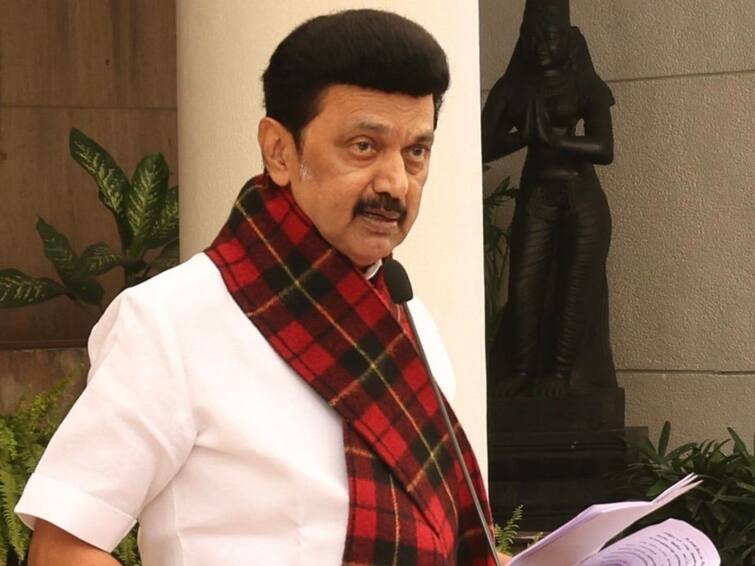 CM Stalin met press in DELHI and reacted over tamilnadu governors activities CM Stalin On Governor:  ”தமிழ்நாடு ஆளுநரின் செயலுக்கு இதுதான் என் ரியாக்‌ஷன்” - டெல்லியில் முதலமைச்சர் ஸ்டாலின் பளிச் பதில்