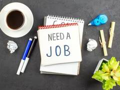 सरकारी नोकरीची संधी, 'या' राज्यात मेघा भरती