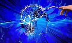 Train Your Brain: ছোট ছোট কিছু পদক্ষেপ, মস্তিষ্কের ধার বাড়বেই