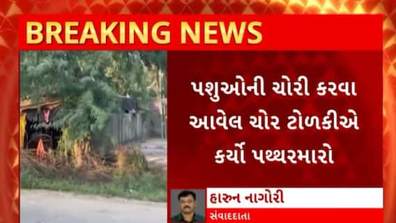 Mehsana News : મહેસાણાના સૂંઢીયા ગામે ચોર ટોળકીએ કર્યો પથ્થરમારો