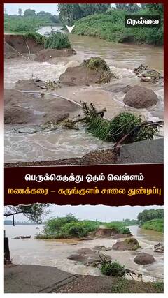 பெருக்கெடுத்து ஓடும் வெள்ளம் மணக்கரை - கருங்குளம் சாலை துண்டிப்பு