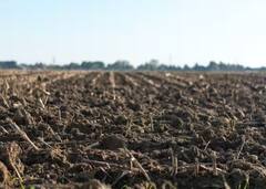 Carbon farming: ਕਿਸਾਨਾਂ ਲਈ ਬੜੇ ਕੰਮ ਦੀ ਚੀਜ਼ ਕਾਰਬਨ ਫਾਰਮਿੰਗ, ਜਾਣੋ ਕਿਵੇਂ ਮਿਲੇਗਾ ਫਾਇਦਾ