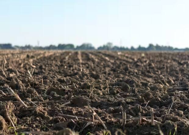 ਅੱਜ ਕੱਲ੍ਹ ਖੇਤੀ ਵਿੱਚ ਨਵੇਂ-ਨਵੇਂ ਤਰੀਕੇ ਵਰਤੇ ਜਾ ਰਹੇ ਹਨ। ਜਿਨ੍ਹਾਂ ਵਿੱਚੋਂ ਇੱਕ ਕਾਰਬਨ ਖੇਤੀ ਹੈ। ਇਹ ਖੇਤੀ ਵਾਯੂਮੰਡਲ ਵਿੱਚੋਂ ਗ੍ਰੀਨ ਹਾਊਸ ਗੈਸਾਂ ਦੇ ਨਿਕਾਸ ਨੂੰ ਘਟਾਉਣ ਵਿੱਚ ਮਦਦ ਕਰਦੀ ਹੈ। ਕਾਰਬਨ ਖੇਤੀ ਮਿੱਟੀ ਦੀ ਗੁਣਵੱਤਾ ਵਿੱਚ ਸੁਧਾਰ ਕਰ ਸਕਦੀ ਹੈ, ਉਨ੍ਹਾਂ ਨੂੰ ਵਧੇਰੇ ਲਾਭਕਾਰੀ ਅਤੇ ਟਿਕਾਊ ਬਣਾ ਸਕਦੀ ਹੈ।