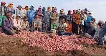 Onion Protest: ધોરાજીના ખેડૂતે ખેતરમાં જ ડુંગળીના ઢગલામાં લગાવી સમાધિ, સરકાર સામે અનોખો વિરોધ