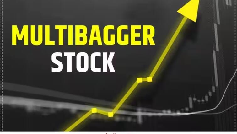 multibagger-stock-share-of-2-rupees-gave-huge-return-to-investors know all details Multibagger Stock: ২০০৫-এ ছিল ৯ টাকায় , এখন ৩০০ টাকার বেশি দাম, কী এই মাল্টিব্যাগার ?