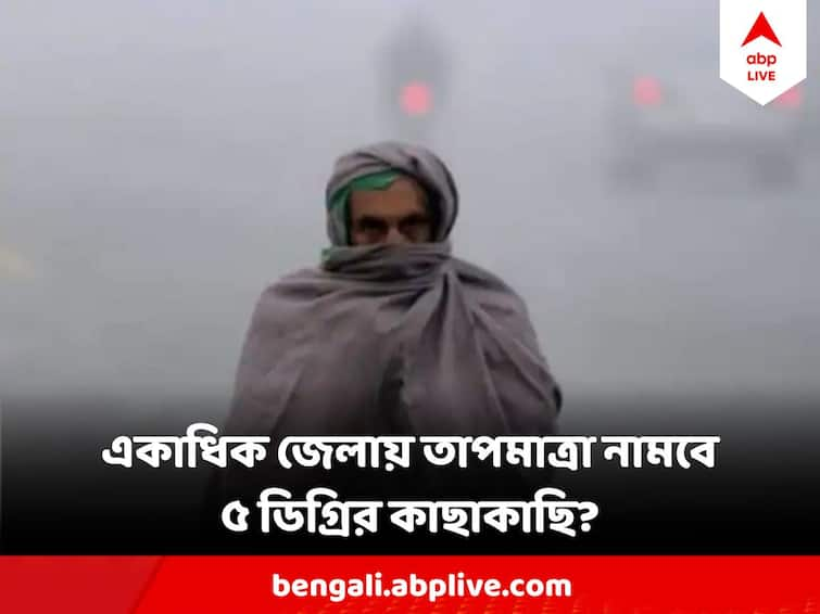 West Bengal Weather Update Cold Passage Formed From Panjab To Bengal, Temperature may dip to 5 degree in Bengal Districts Weather Update: পাঞ্জাব থেকে বাংলা তৈরি শৈত্য পথ,  পাহাড় ছাড়া কোথায় তাপমাত্রা নামবে ৫ ডিগ্রিতে?