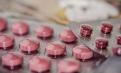 Anti Aging Drugs for Dogs: বুড়ো হবে না আপনার প্রিয় পোষ্য, সারমেয়দের অমরত্ব বাঁধা নয়া ওষুধে? শীঘ্রই আসছে বাজারে