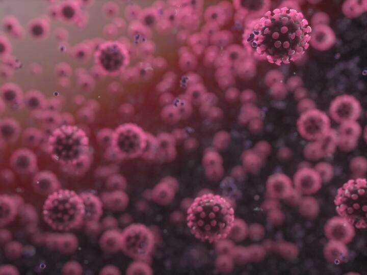 What Is Alaska Pox Virus know all symptoms infection and how to prevent it from spread Marathi News Alaska Pox Virus: तुम्ही Alaskapox व्हायरसबाबत ऐकलंय का? लक्षणं काय अन् प्रादु्र्भाव कसा होता?