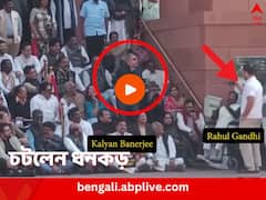 নেচে নেচে অনুকরণ কল্যাণের, ক্যামেরা হাতে রাহুল, ভিডিও দেখে চটলেন ধনকড়