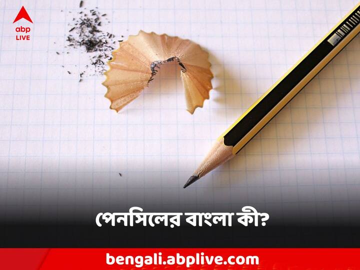 Do You Know what pencil called in bengali language Do You Know: পেনের বাংলা কলম, পেনসিলের বাংলা অর্থ কী?