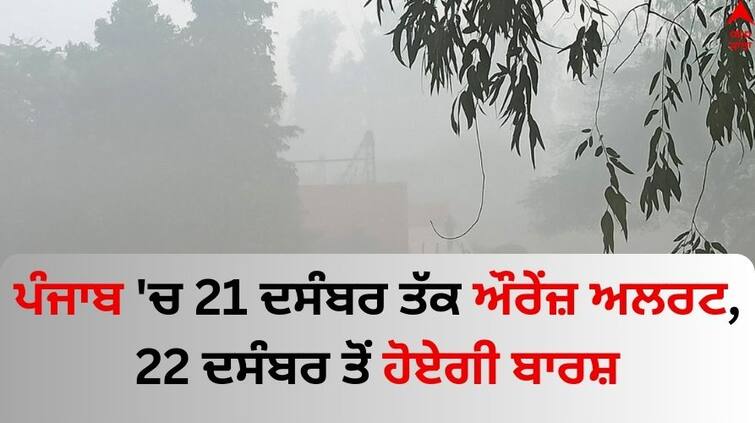Punjab Weather Report The IMD has issued an orange alert in Punjab till December 21 it will rain from December 22 Punjab Weather Report: ਪੰਜਾਬ 'ਚ 21 ਦਸੰਬਰ ਤੱਕ ਔਰੇਂਜ਼ ਅਲਰਟ, 22 ਦਸੰਬਰ ਤੋਂ ਹੋਏਗੀ ਬਾਰਸ਼