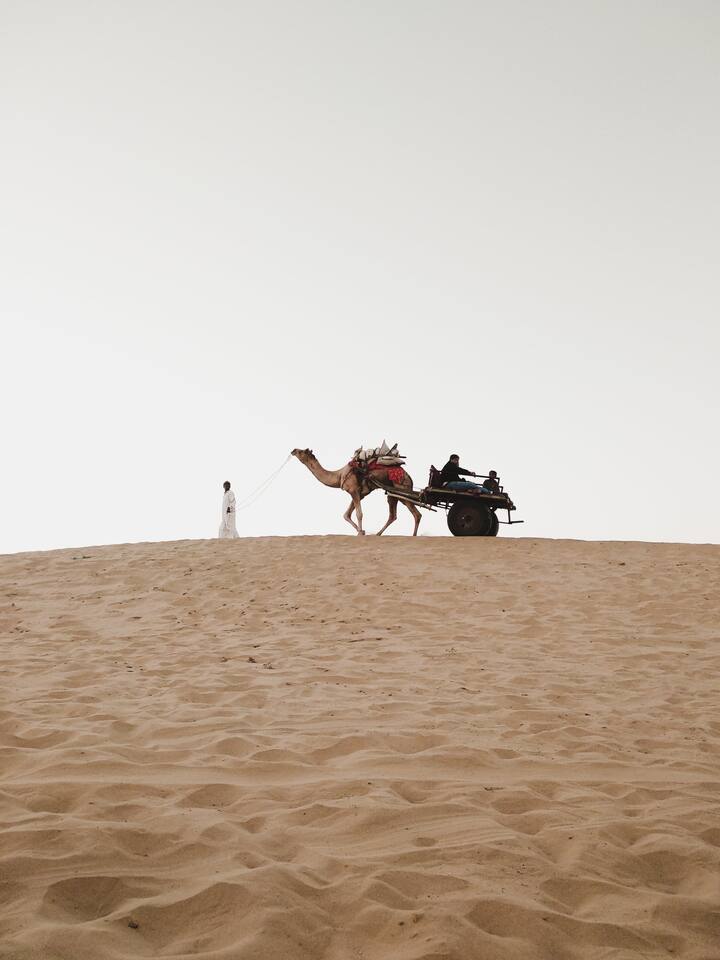 जैसलमेर : बर्फवृष्टी किंवा थंडीच्या काळात आल्हाददायक हवामान असलेल्या ठिकाणी जायचे असेल तर राजस्थानला जा. हिवाळ्यातही जैसलमेर पर्यटकांनी खचाखच भरलेले असते. वाळवंटात कॅम्पिंगसोबतच पॅरासेलिंग, क्वॉड बाइकिंग आणि ड्युन बॅशिंगचा आनंद घेता येतो. जैसलमेरमध्ये फोर्ट, थार म्युझियम, जैन मंदिर, नथमल की हवेली अशी अनेक प्रेक्षणीय स्थळे आहेत.