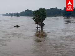 Thamirabarani river in floods : கடல்போல் காட்சியளிக்கும் தாமிரபரணி! நிலவரம் என்ன?