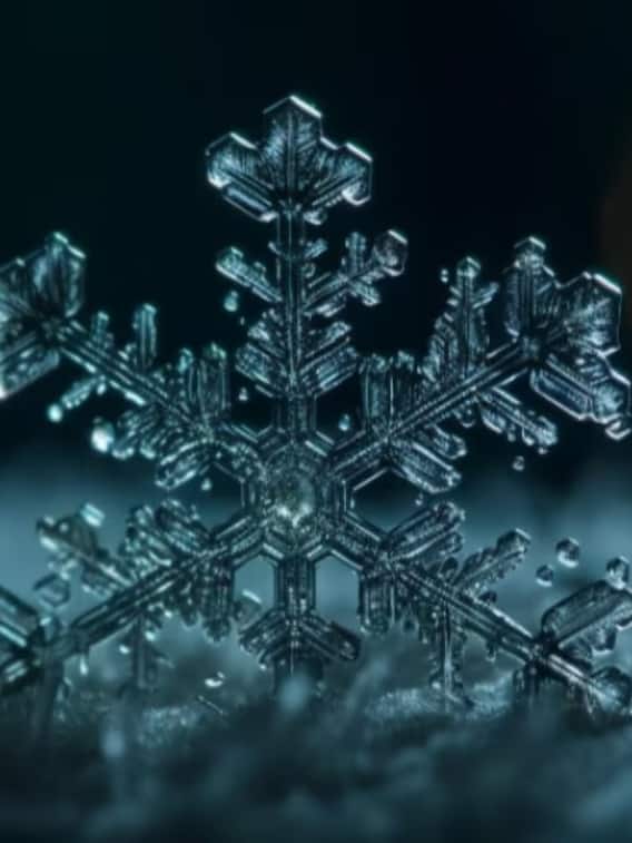 पाला पड़ना क्या होता है, किसान भाई कैसे करें इससे बचाव