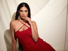 Malavika Mohanan Photos : క్రిస్మస్ స్పెషల్ లుక్​లో మాళవిక మోహనన్