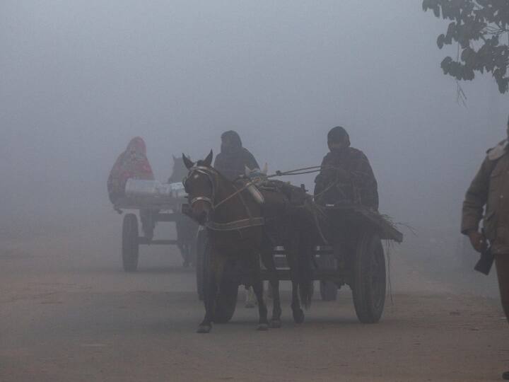 UP Weather Today: यूपी में सर्दी के साथ घने कोहरे का अलर्ट, इन इलाकों में छाई धुंध, 5 डिग्री तक पहुंचा न्यूनतम तापमान up Weather Update Today 20 December 2023 Forecast fog rain varanasi lucknow agra prayagraj gorakhpur noida imd alert UP Weather Today: यूपी में सर्दी के साथ घने कोहरे का अलर्ट, इन इलाकों में छाई धुंध, 5 डिग्री तक पहुंचा न्यूनतम तापमान