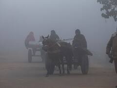 यूपी में सर्दी के साथ घने कोहरे का अलर्ट, इन इलाकों में छाई धुंध, 5 डिग्री तक पहुंचा न्यूनतम तापमान