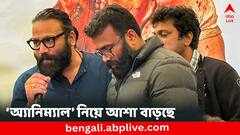 বক্স অফিসে ঝড় অব্যাহত, তারই মাঝে 'অ্যানিম্যাল'কে নিয়ে অন্য আরেক খবর