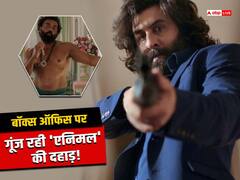 बीस दिन बाद भी बॉक्स ऑफिस पर तहलका मचा रही 'एनिमल'! तीसरे बुधवार को भी करेगी धांसू कलेक्शन