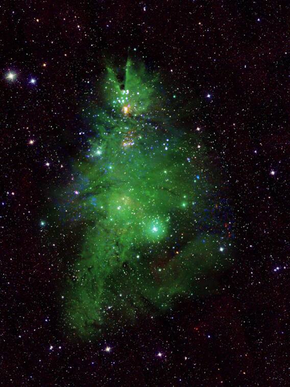 नासा को स्‍पेस में मिला क्रिसमस ट्री, तस्‍वीर रह जाएंगे दंग