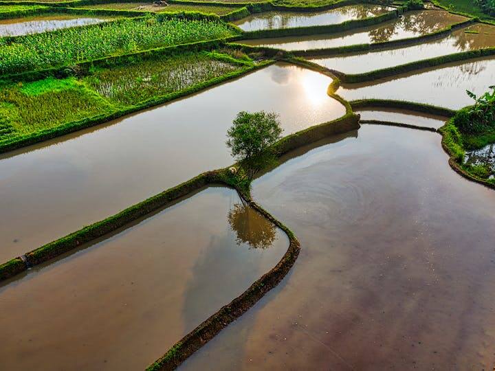 किसानों की मदद के लिए सरकार कई योजनाएं चलाती है. जिनके जरिए किसान भाइयों को विभिन्न प्रकार से लाभ दिया जाता है. इन्हीं में से एक योजना फसल सिंचाई योजना है. इस योजना के जरिए किसान भाइयों कोसिंचाई से जुड़ी सुविधाएं प्रदान की जाती है.