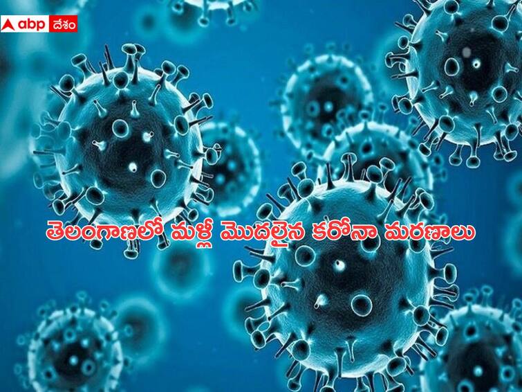 Telangana Covid19 Case 6 Corona positive cases and one death reported in state Telangana Corona Cases: అలర్ట్- తెలంగాణలో తాజాగా 6 కరోనా కేసులు, ఒకరి మృతి!