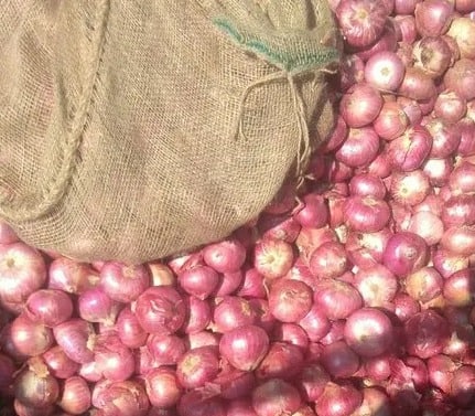 निर्यातबंदीनंतर सरासरी किंमत 47 टक्क्यांनी कमी झाली आहे. तर सर्वोच्च किंमत 44 टक्क्यांनी कमी झाली आहे.