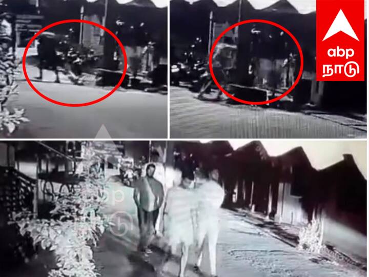 Villupuram news Youths beat stray dogs to death near CCTV footage released causing excitement - TNN விழுப்புரம் அருகே தெருநாய்களை அடித்து கொன்ற இளைஞர்கள் - சிசிடிவி காட்சியால் அதிர்ச்சி